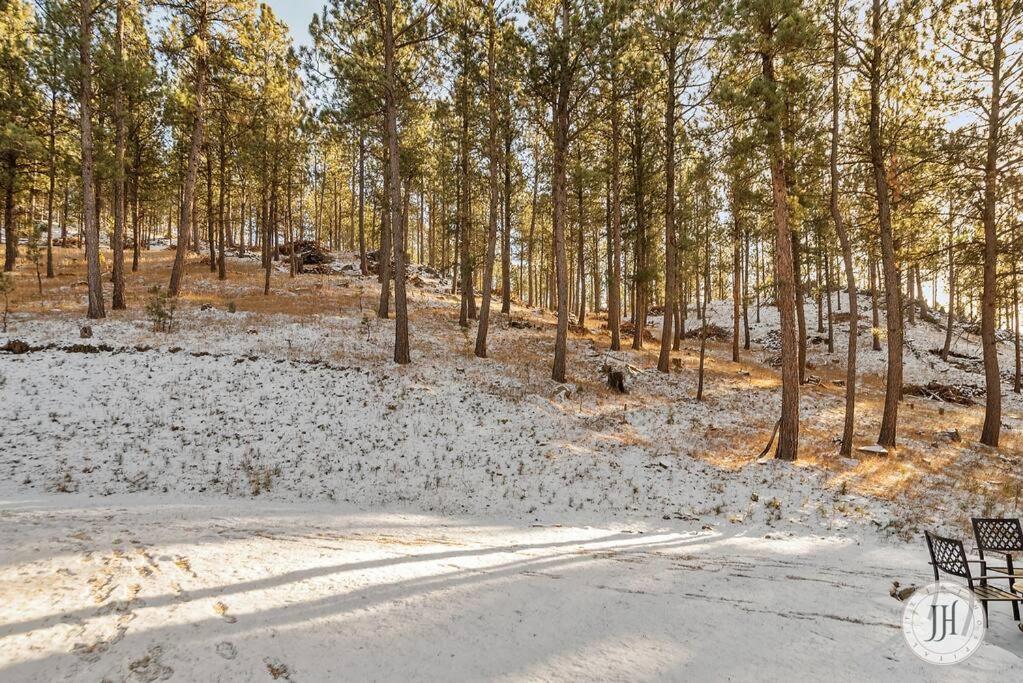 Elk Ridge Fire Place Custer Exteriör bild
